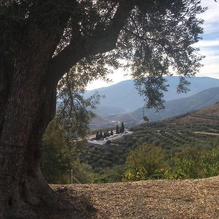 Jardin Andaluz Appart Alhambra Pinos del Valle ภายนอก รูปภาพ