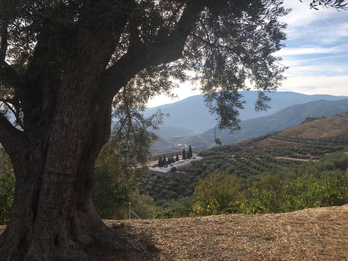 Jardin Andaluz Appart Alhambra Pinos del Valle ภายนอก รูปภาพ