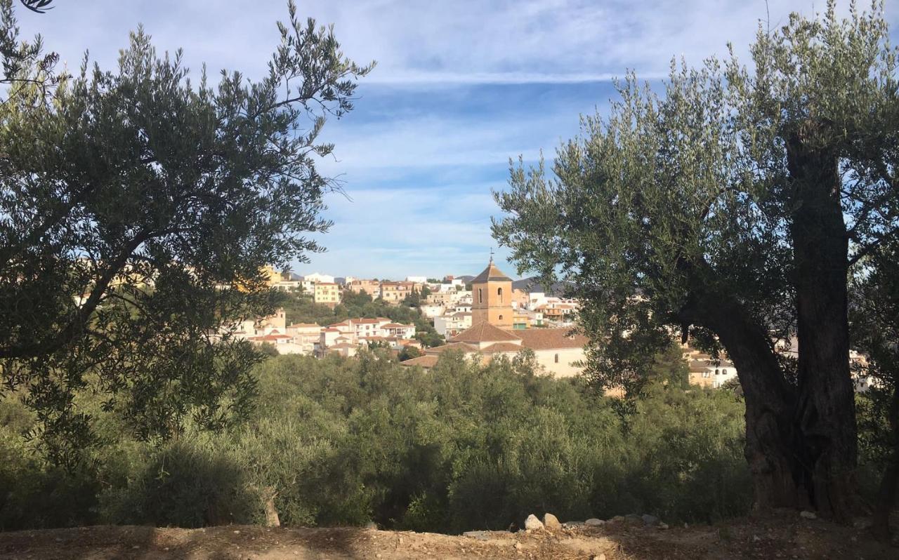 Jardin Andaluz Appart Alhambra Pinos del Valle ภายนอก รูปภาพ